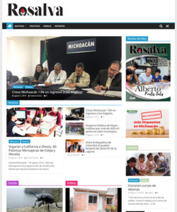 Mini - Revista Rosalva